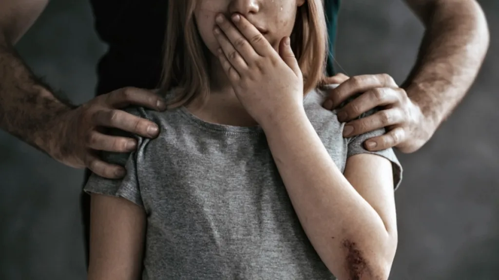 У Миколаєві під арешт взяли чоловіка, підозрюваного у розбещенні дитини