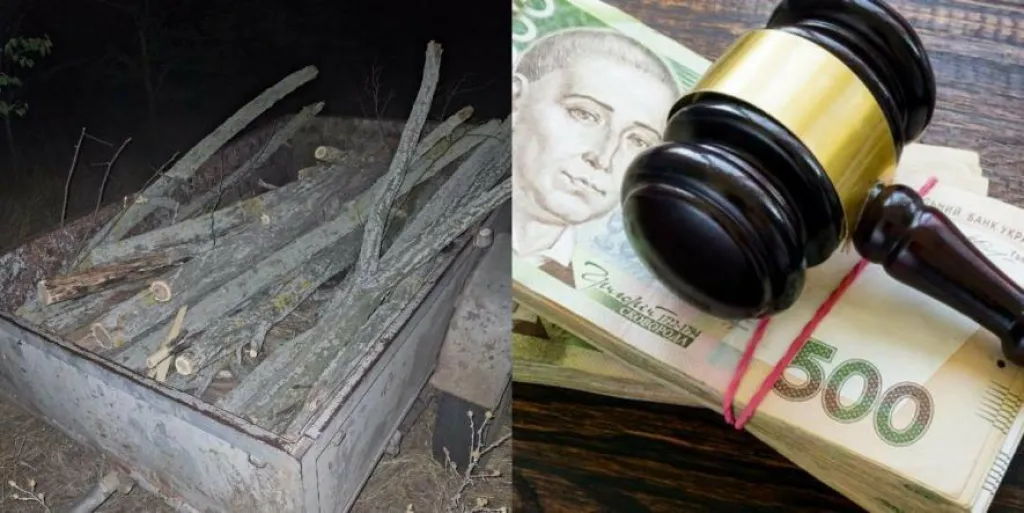 На Миколаївщині чоловіка покарали за вирубку шести акацій у лісосмузі
