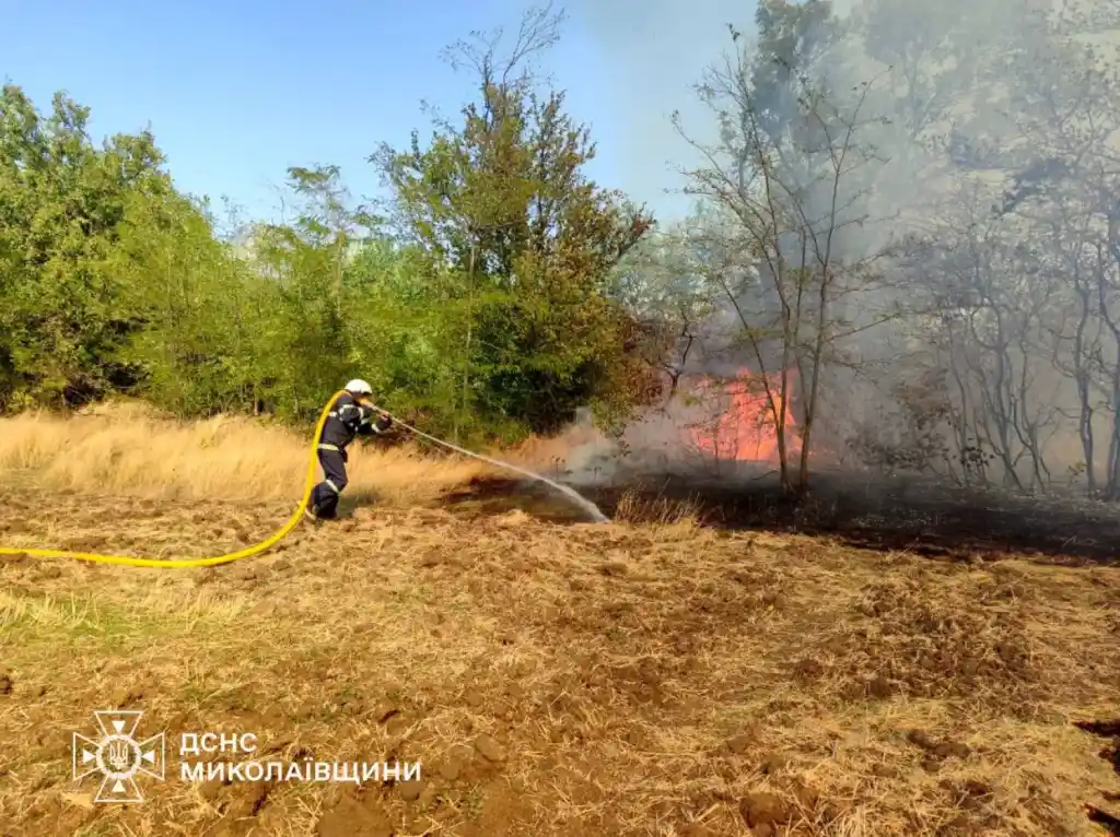 За добу на Миколаївщині сталося 21 займання, два з них спричинені ворожими обстрілами