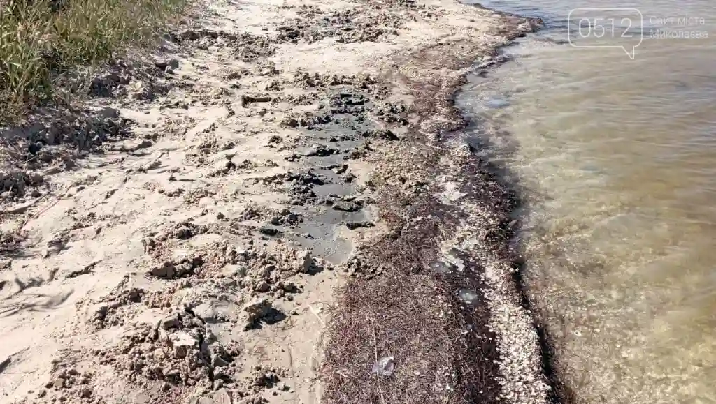 На Миколаївщині виявили незаконний видобуток піску на узбережжі Березанського лиману