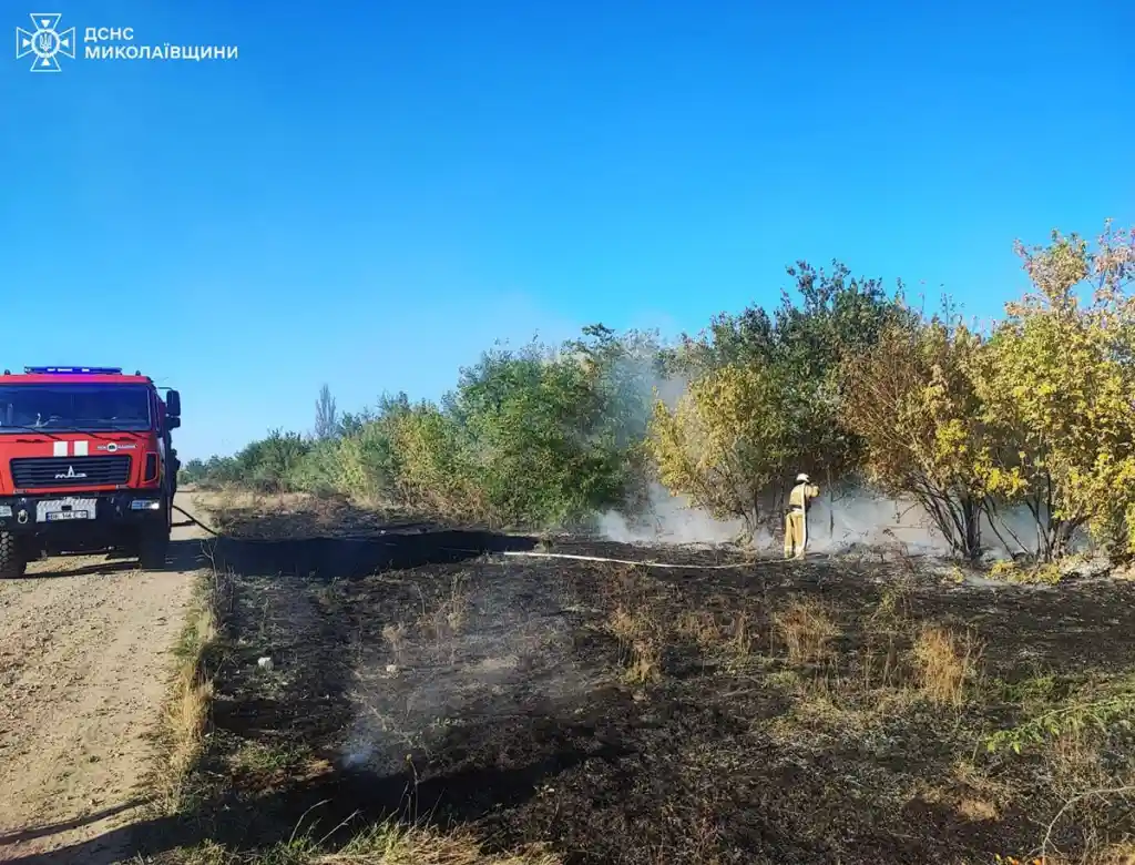 На Миколаївщині рятувальники за добу ліквідували понад десяток пожеж
