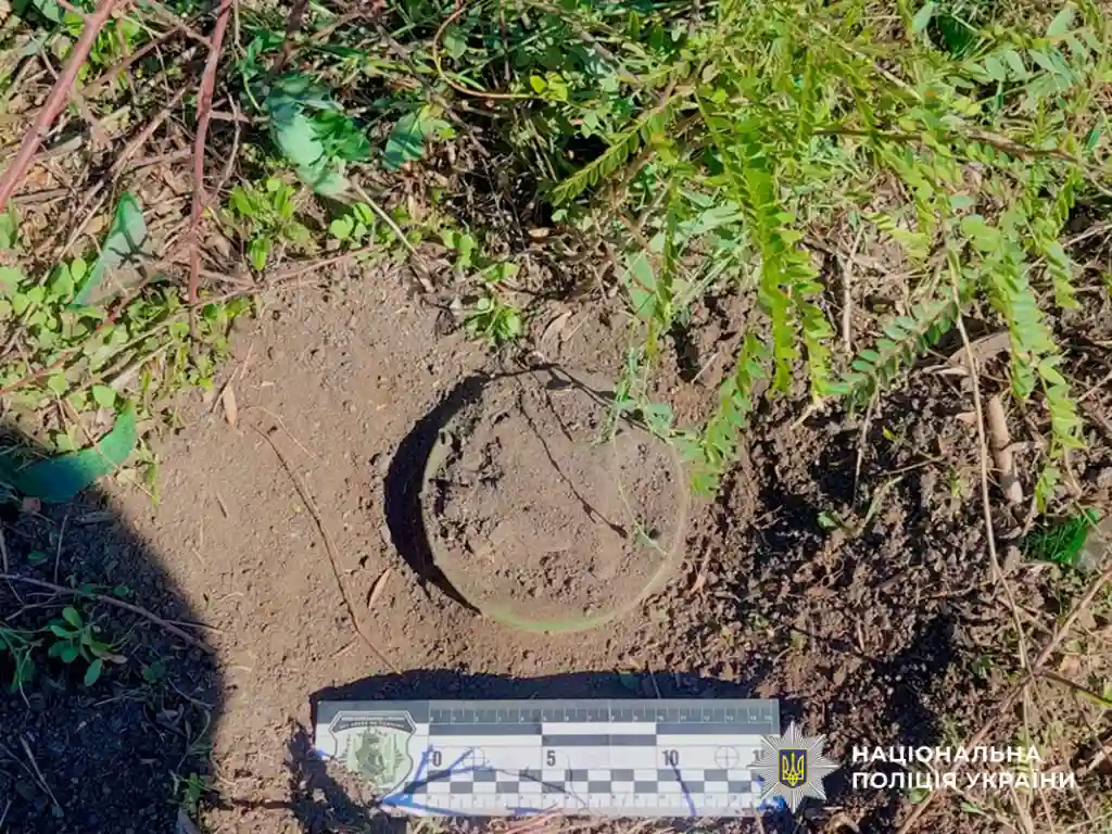 На Миколаївщині корова підірвалася на міні: поліцейські виявили ще три вибухівки