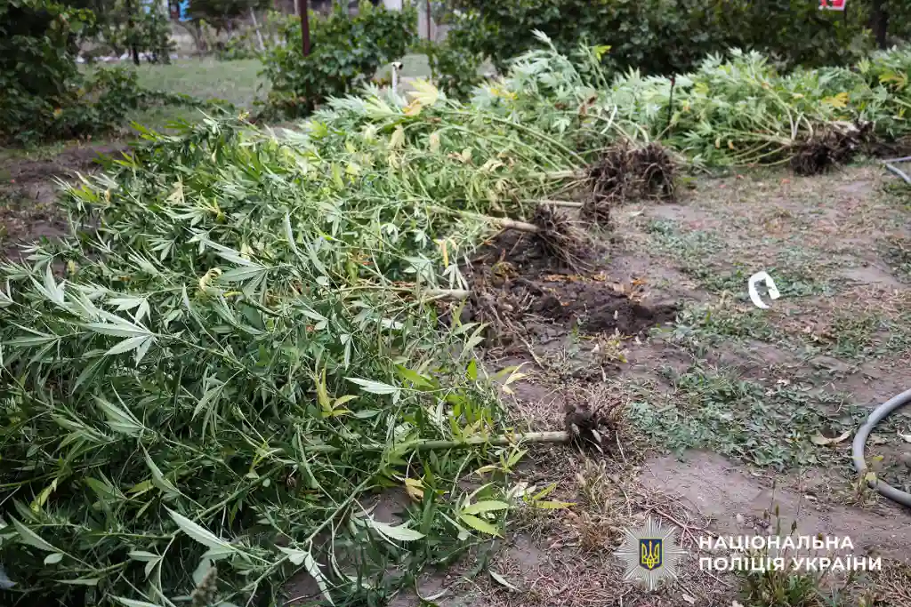 На Миколаївщині затримали чоловіка з наркотиками та зброєю, який напав на директора КП