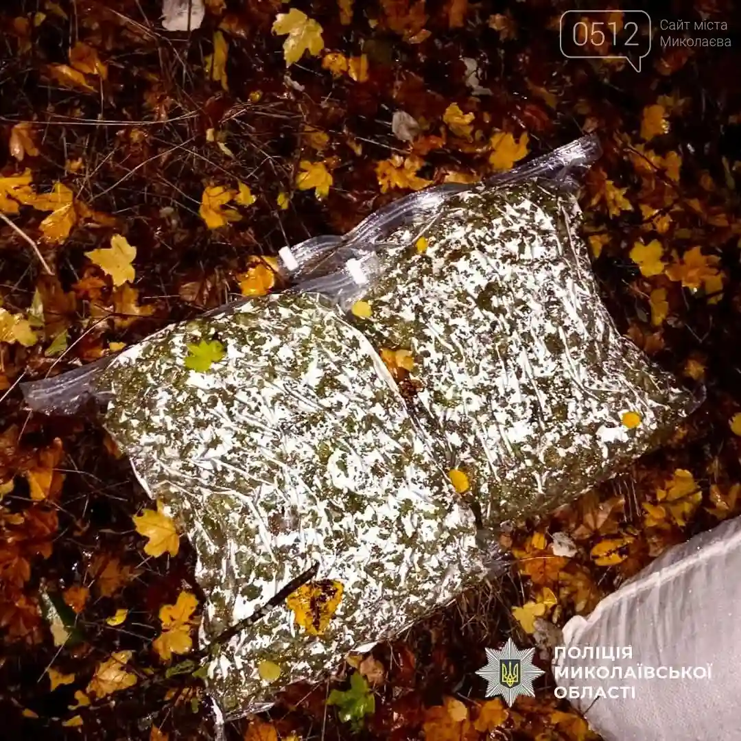 На Первомайщині викрили плантацію конопель та вилучили понад центнер канабісу