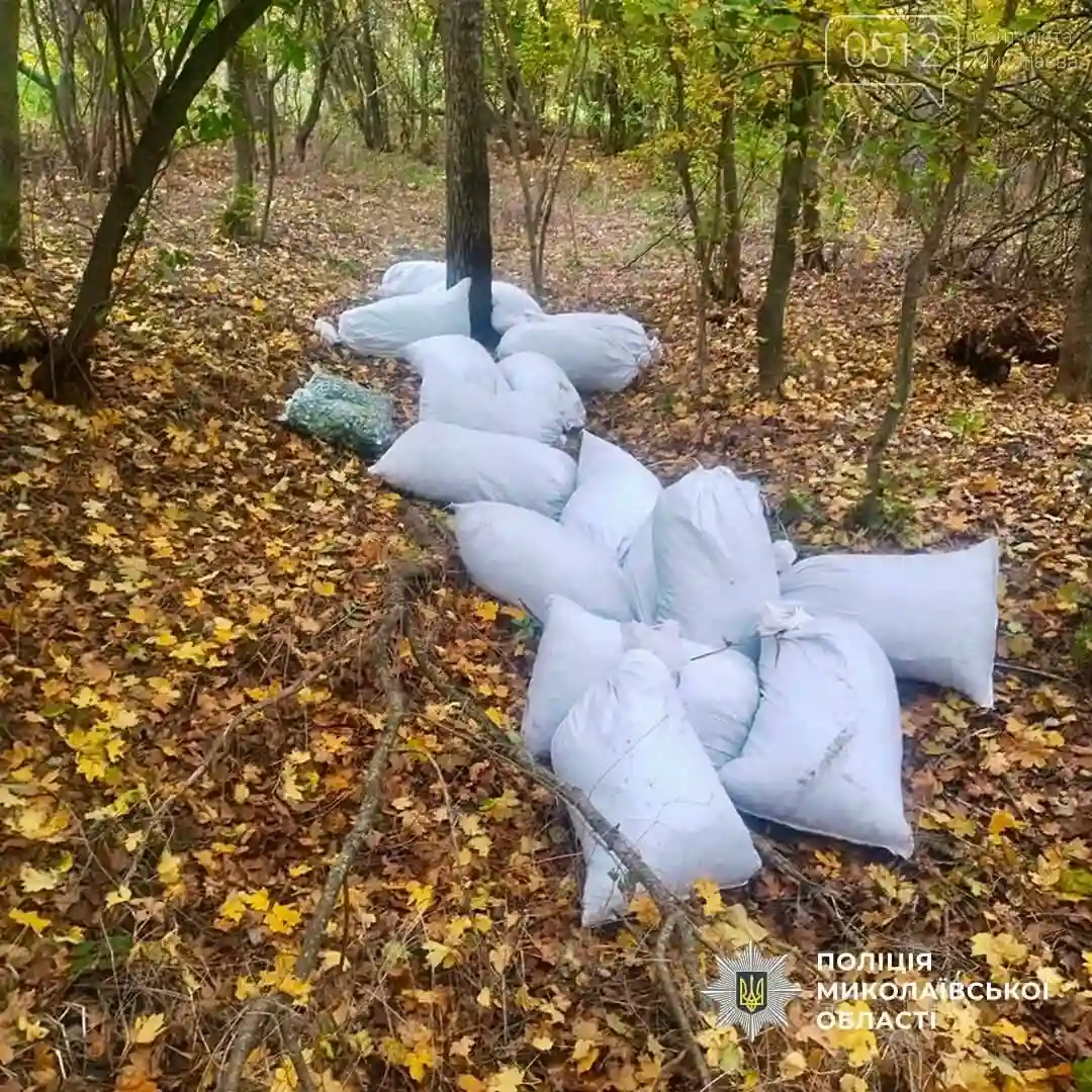 На Первомайщині викрили плантацію конопель та вилучили понад центнер канабісу