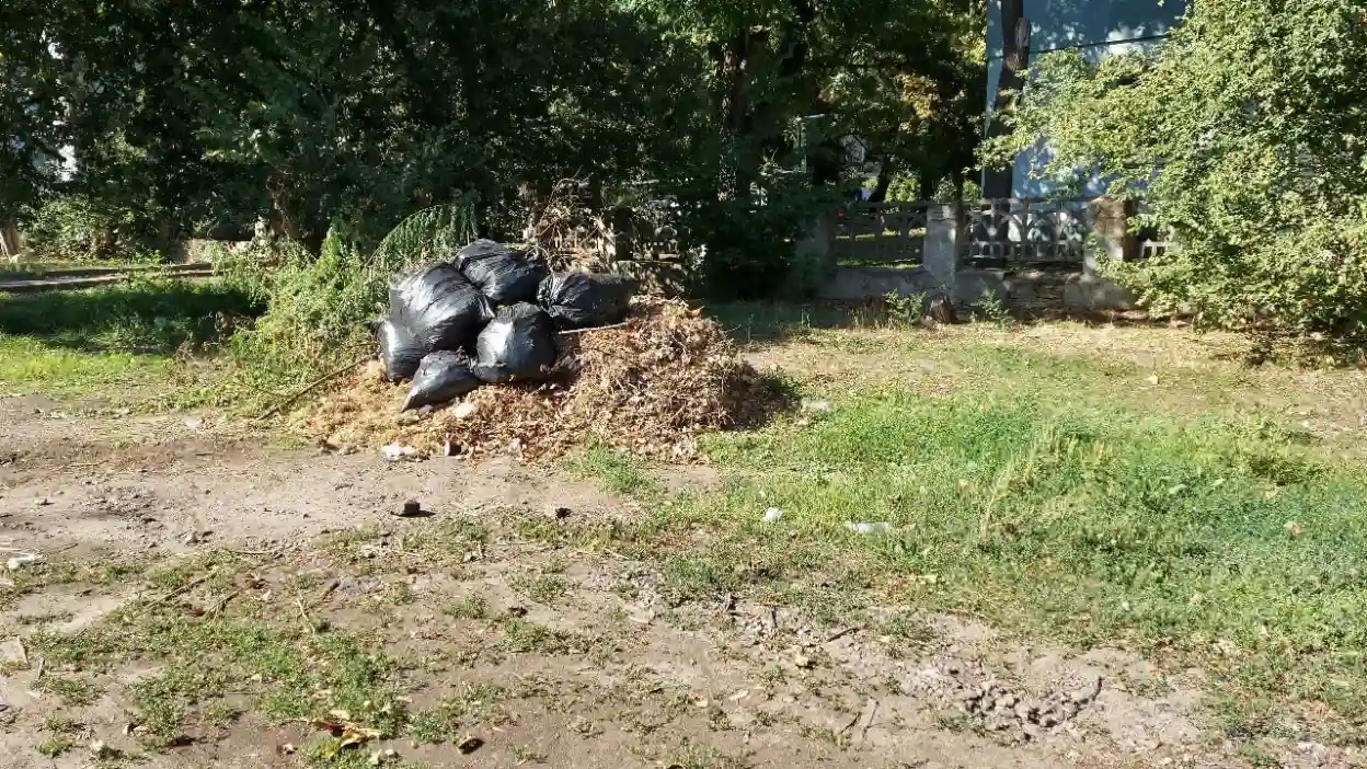 У Миколаєві ліквідували стихійні звалища: екоінспектори очистили території Інгульського району