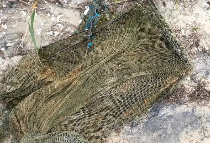 На Миколаївщині викрили браконьєрку, яка виловила рибу на майже 190 тисяч гривень