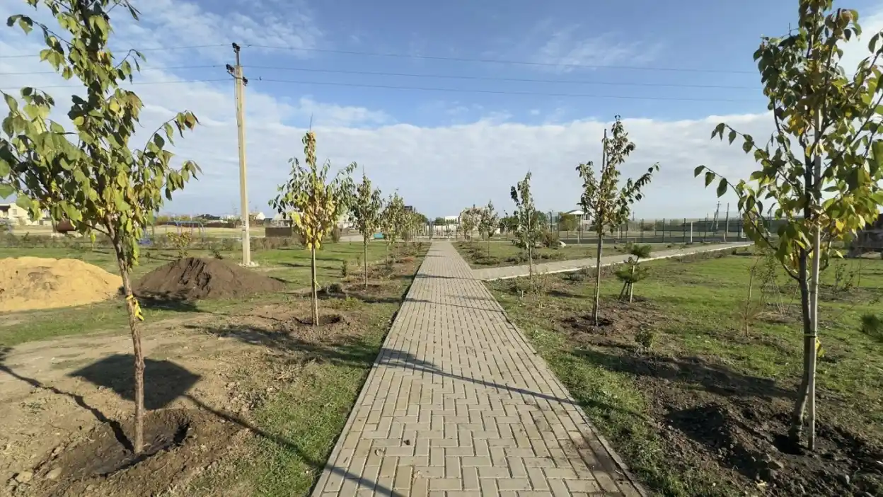 У Миколаєві облаштовують новий сквер «Родинний»: висаджують сакури, клени та барбариси
