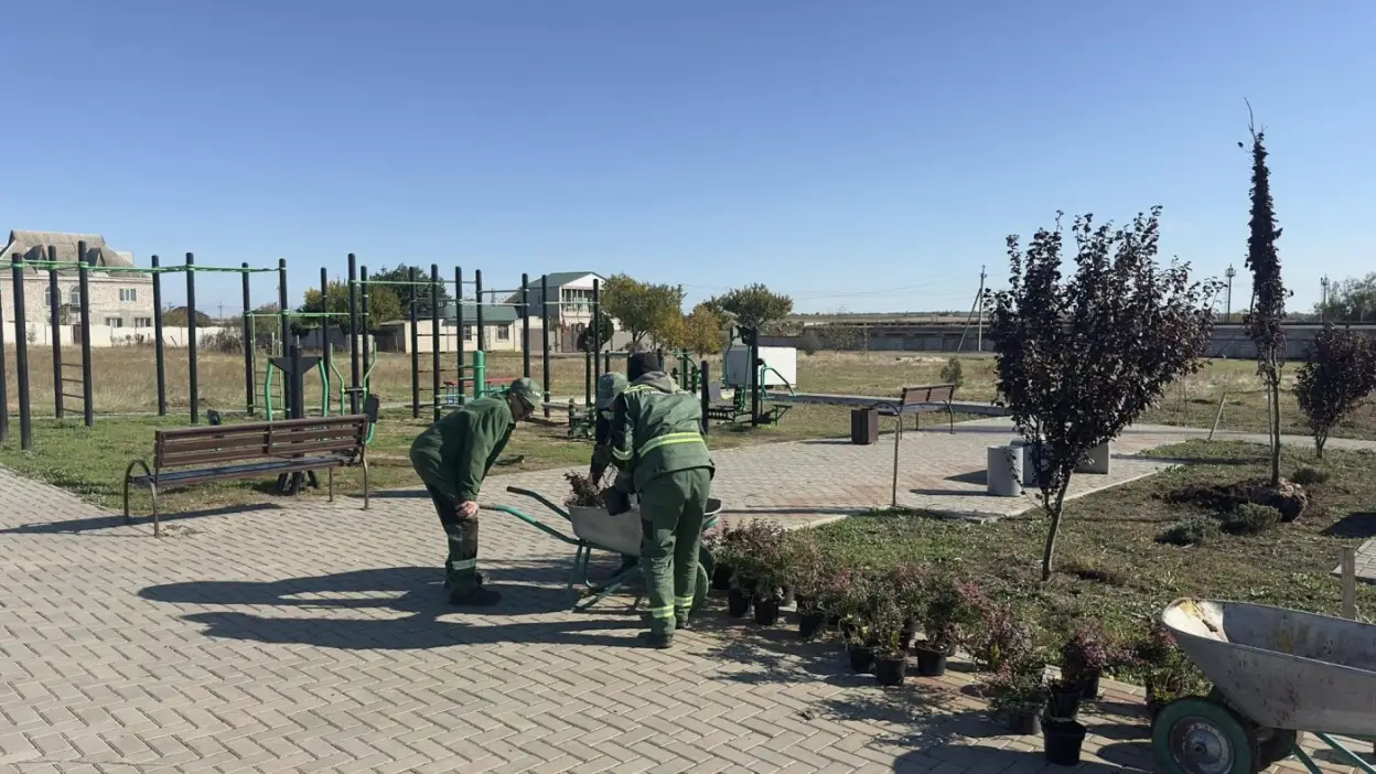 У Миколаєві облаштовують новий сквер «Родинний»: висаджують сакури, клени та барбариси