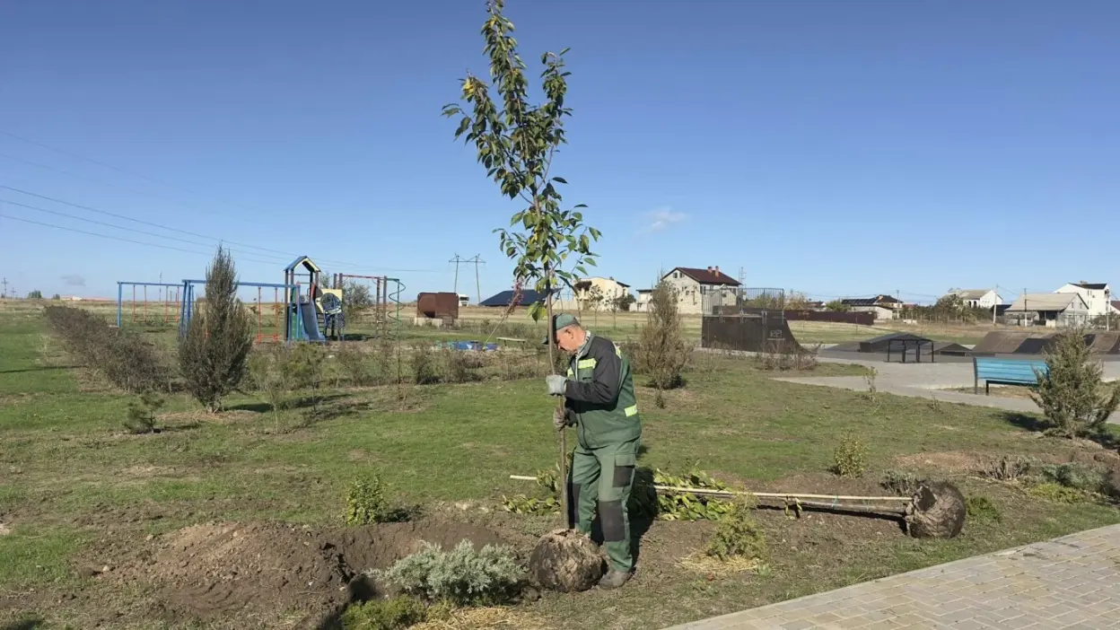 У Миколаєві облаштовують новий сквер «Родинний»: висаджують сакури, клени та барбариси