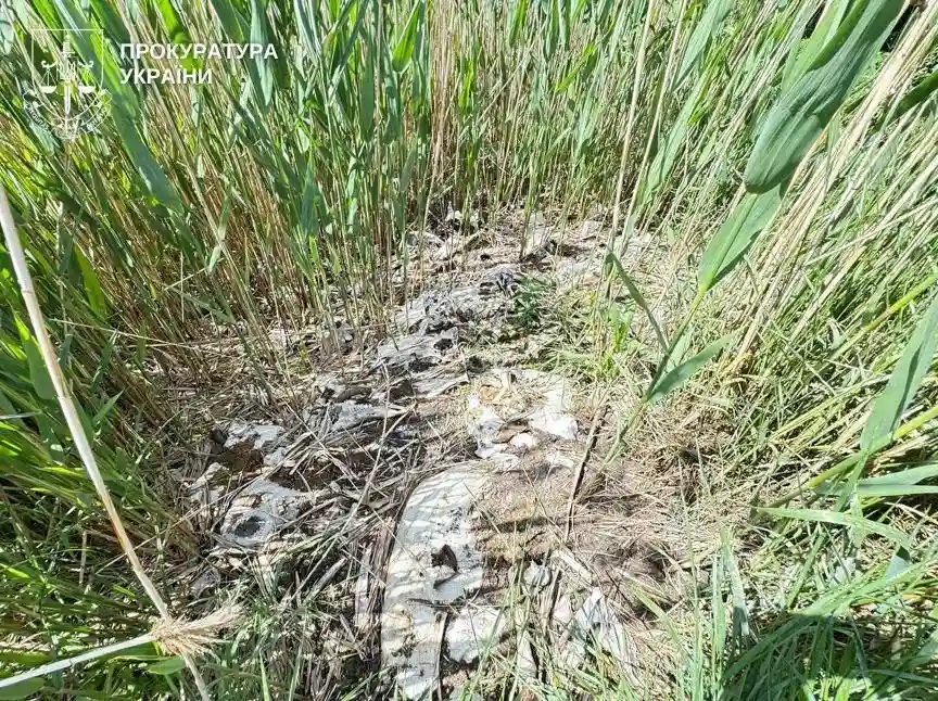 На Миколаївщині жінку підозрюють у забрудненні ґрунтів рештками тварин