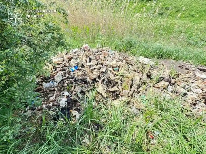 На Миколаївщині жінку підозрюють у забрудненні ґрунтів рештками тварин