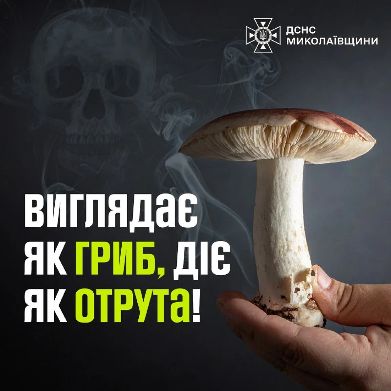 На Миколаївщині підліток потрапив до лікарні після отруєння дикорослими грибами