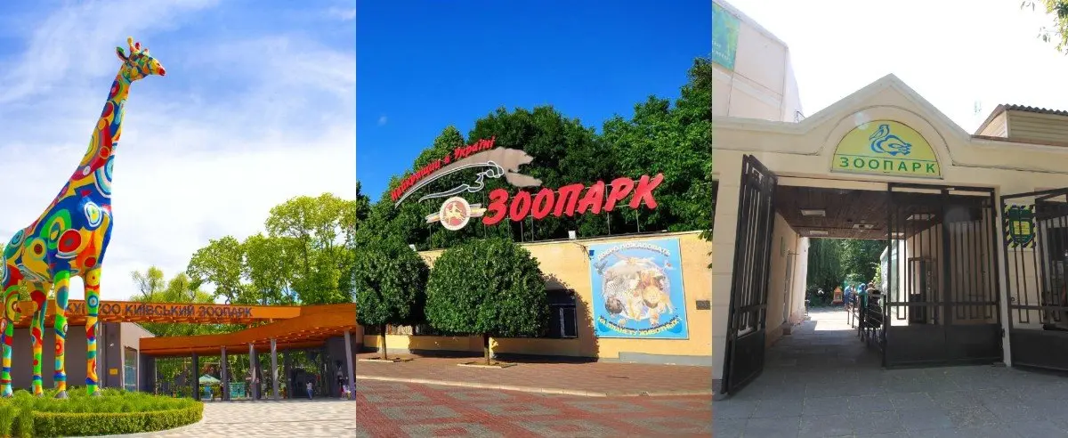 Миколаївський зоопарк – найдоступніший для відвідувачів: порівняння цін на квитки в українських зоопарках