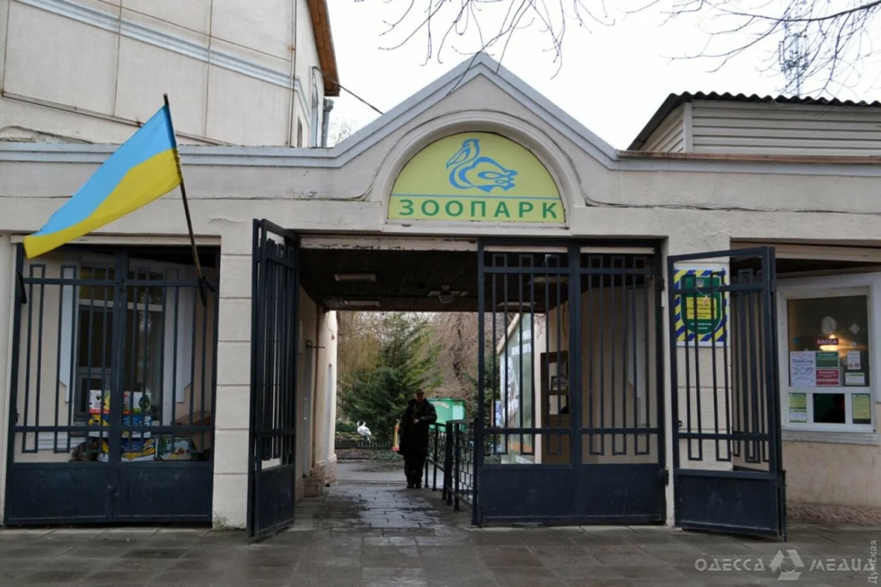 Миколаївський зоопарк – найдоступніший для відвідувачів: порівняння цін на квитки в українських зоопарках