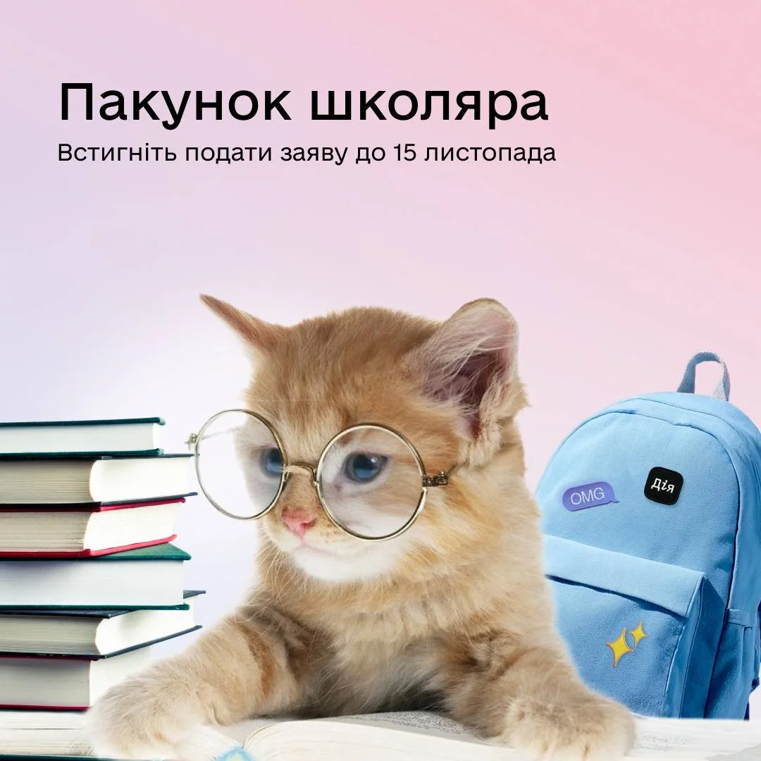 До 15 листопада батьки першокласників можуть подати заявку на компенсацію: програма завершується