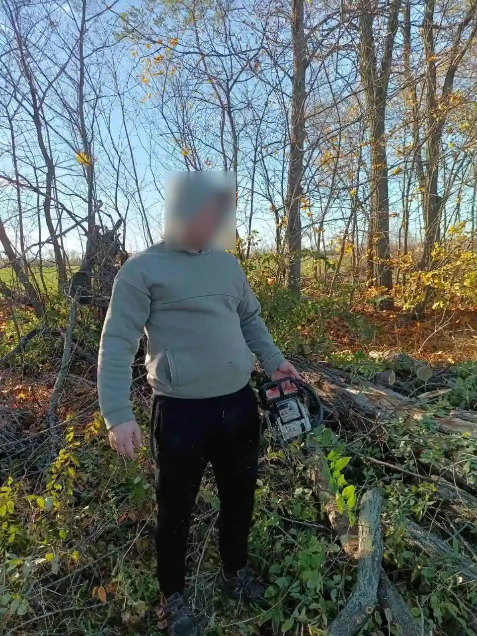 На Миколаївщині викрили чоловіка, який за незаконну вирубку заплатить понад 13 тисяч
