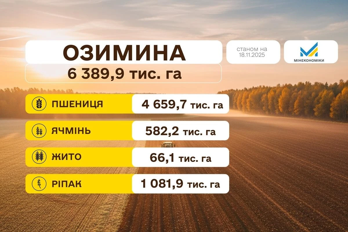 Миколаївщина серед регіонів, що демонструють найвищі результати осінньої посівної