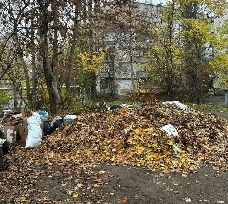У Миколаєві оперативно ліквідували стихійне сміттєзвалище в центрі міста