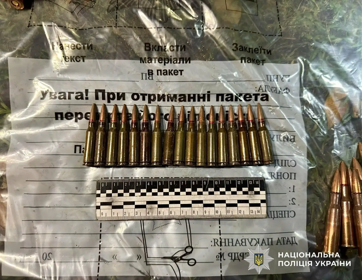 На Миколаївщині затримали чоловіка, який продав бойові гранати за 10 тисяч гривень