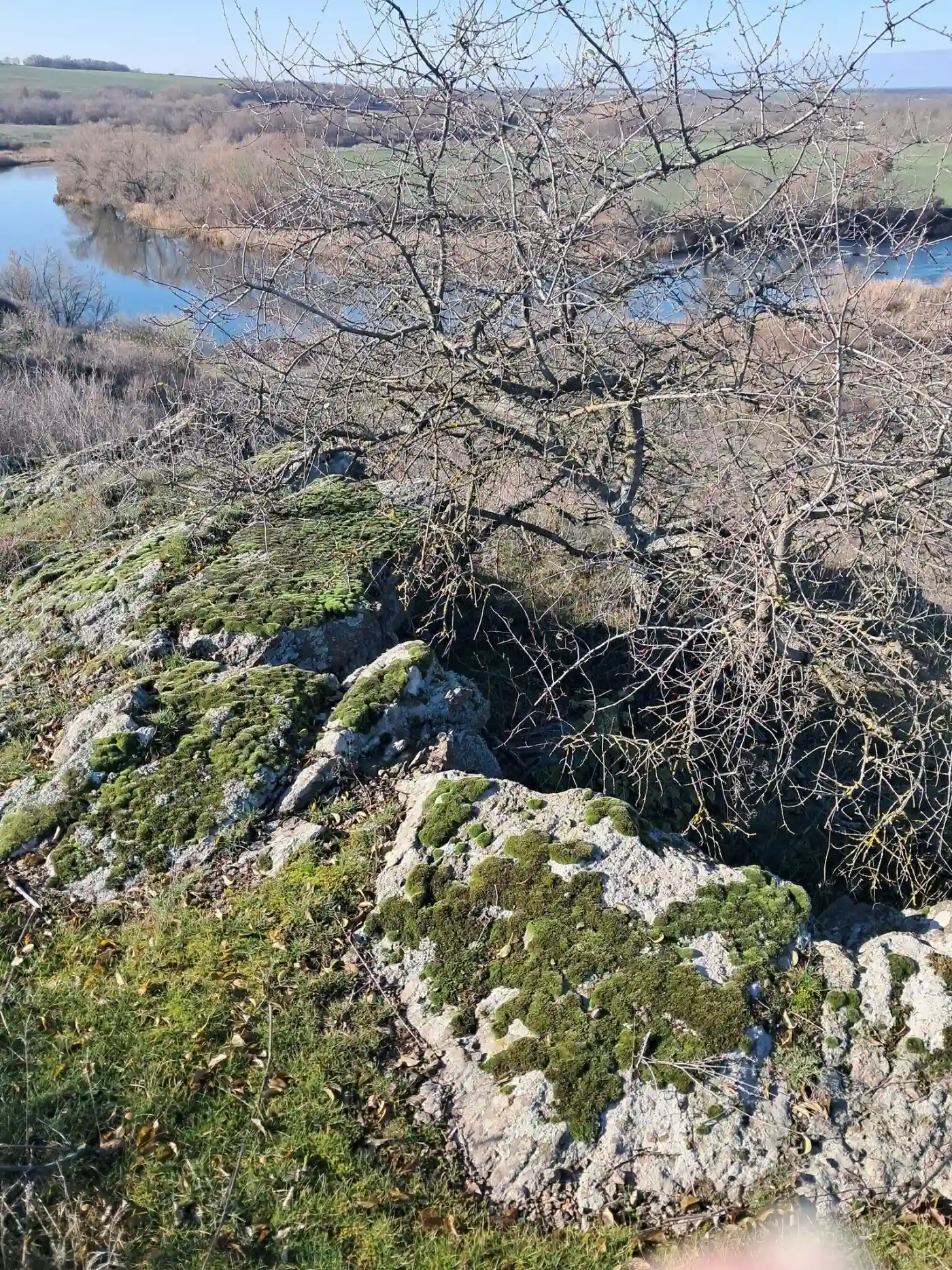 На Миколаївщині знайшли унікальний кам’яний степ з оселищами червонокнижних рослин