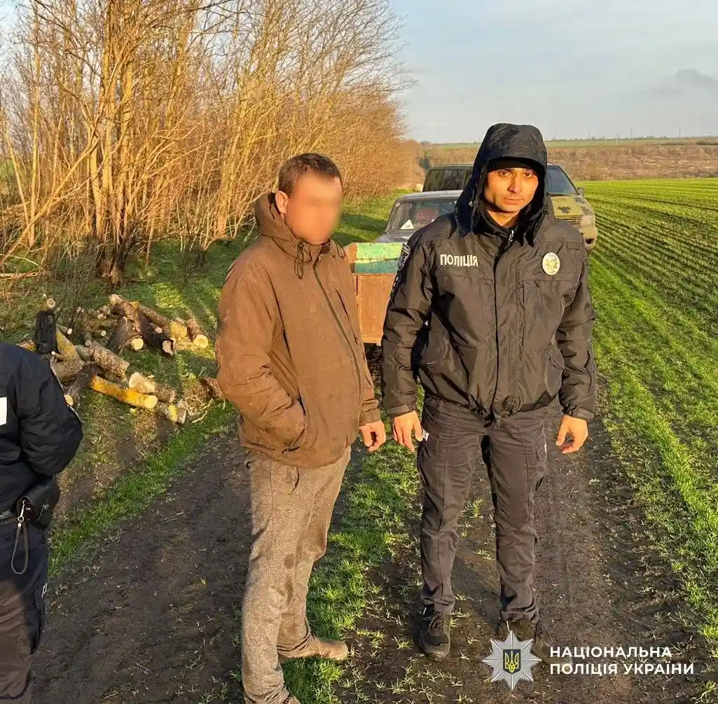 На Миколаївщині викрили чоловіка, який місяцями вирубував дерева та завдав довкіллю збитків на 333 тисячі гривень