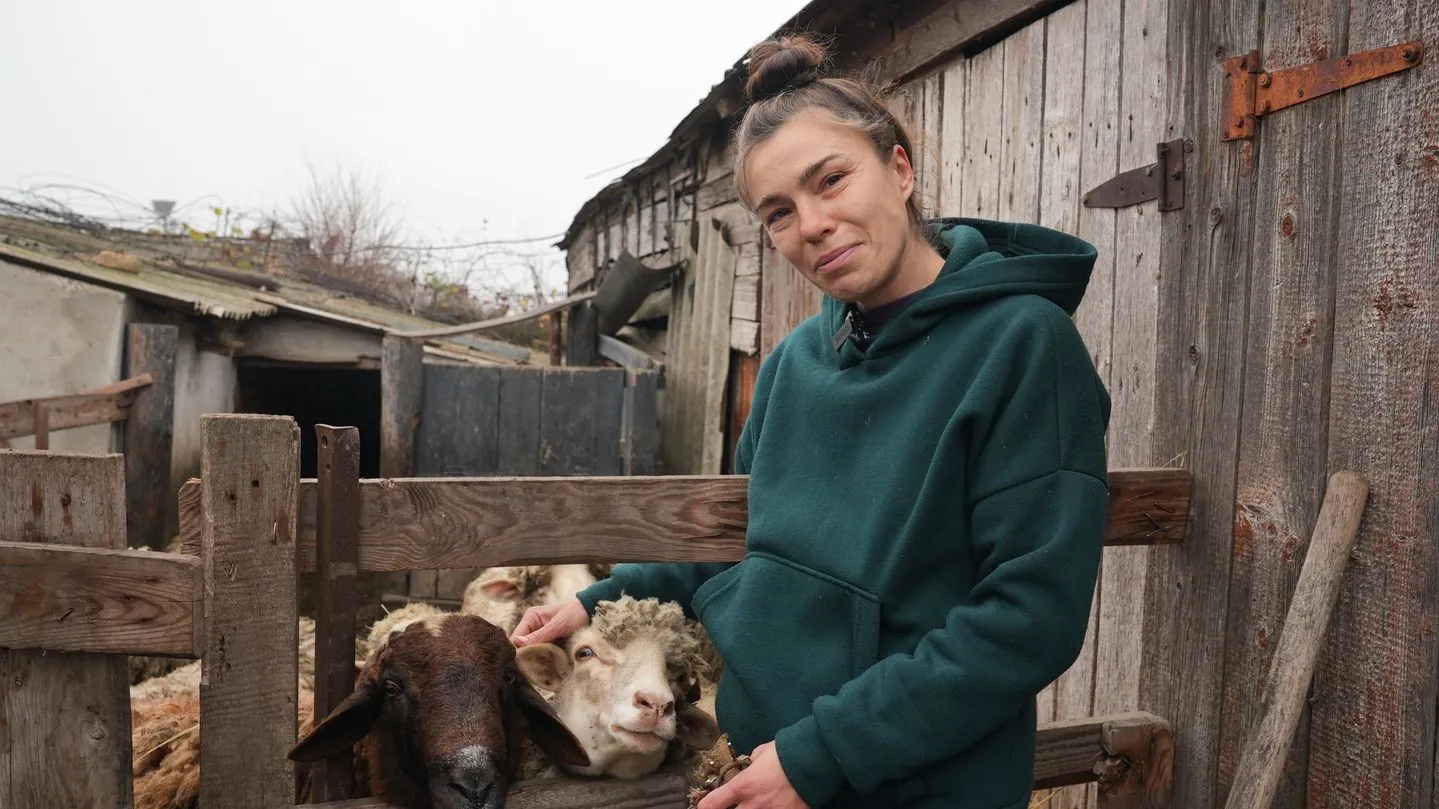 «Мої хвостаті діти»: як подружжя з Миколаєва виховало дев’ять ручних овець