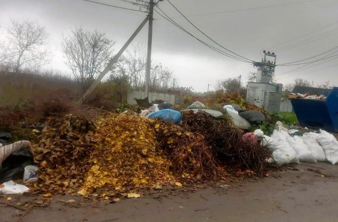 У Миколаєві ліквідували стихійне звалище після повідомлення з сервісу “ЕкоЗагроза”