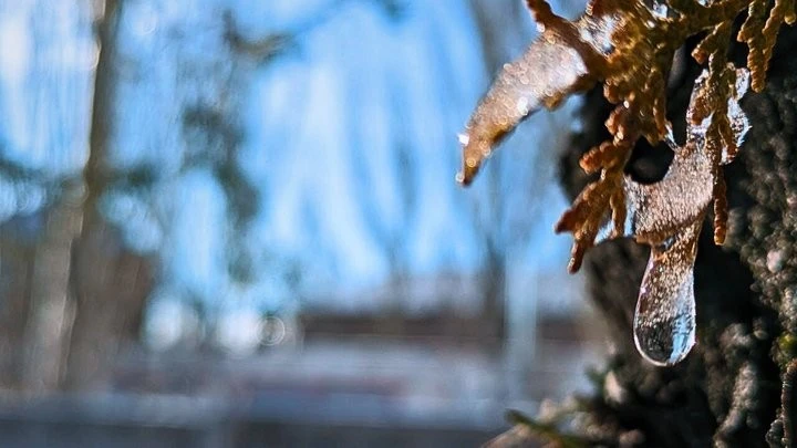 Грудневий день без снігу: якою буде погода у Миколаєві 23 грудня