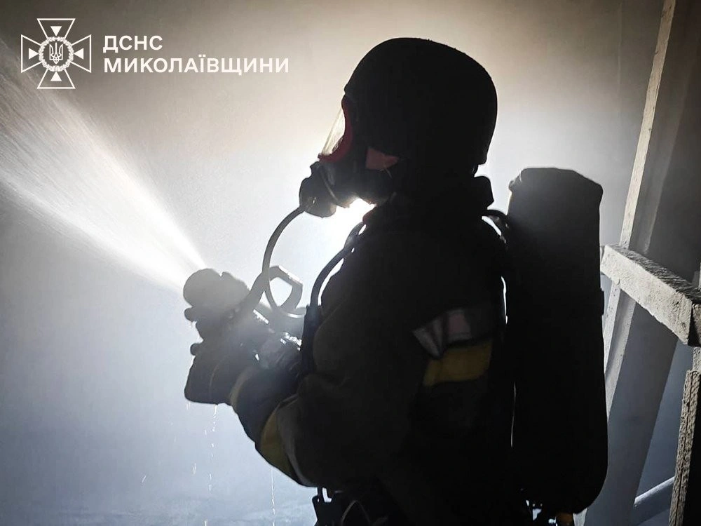 У Миколаєві викрили спробу приватизувати лісову ділянку за підробленими документами