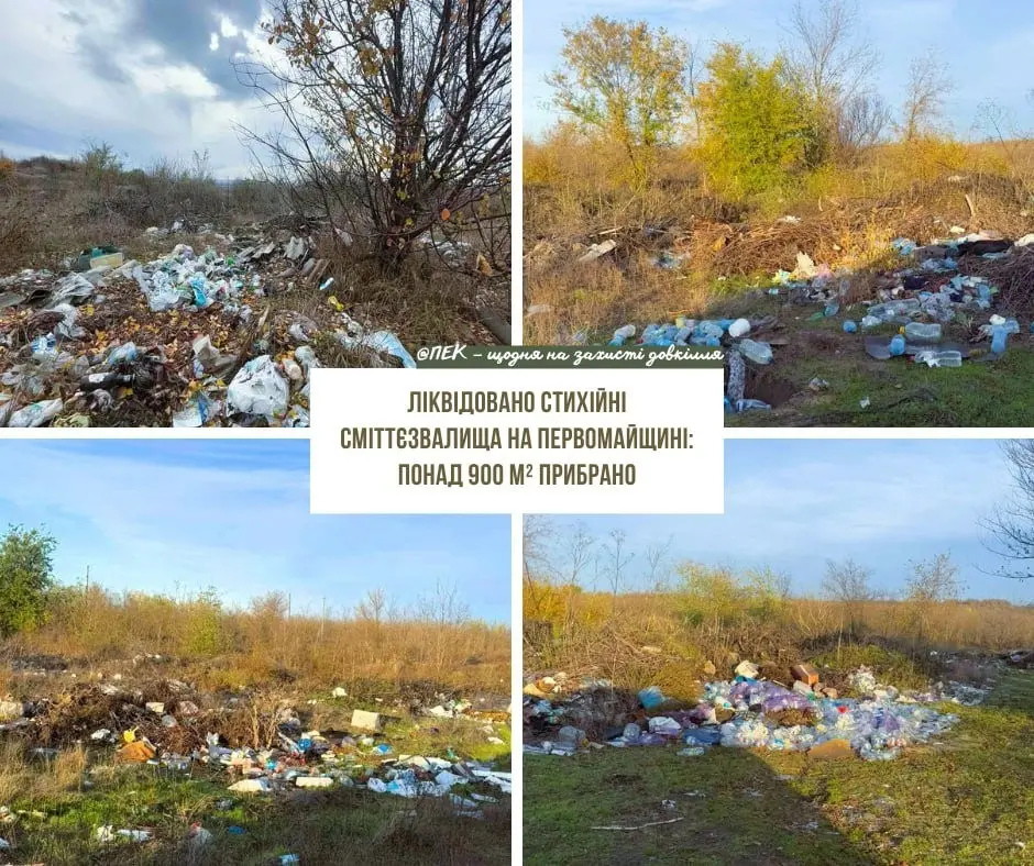 Резерв+ додав сповіщення про паперові повістки: як це працює і що це означає