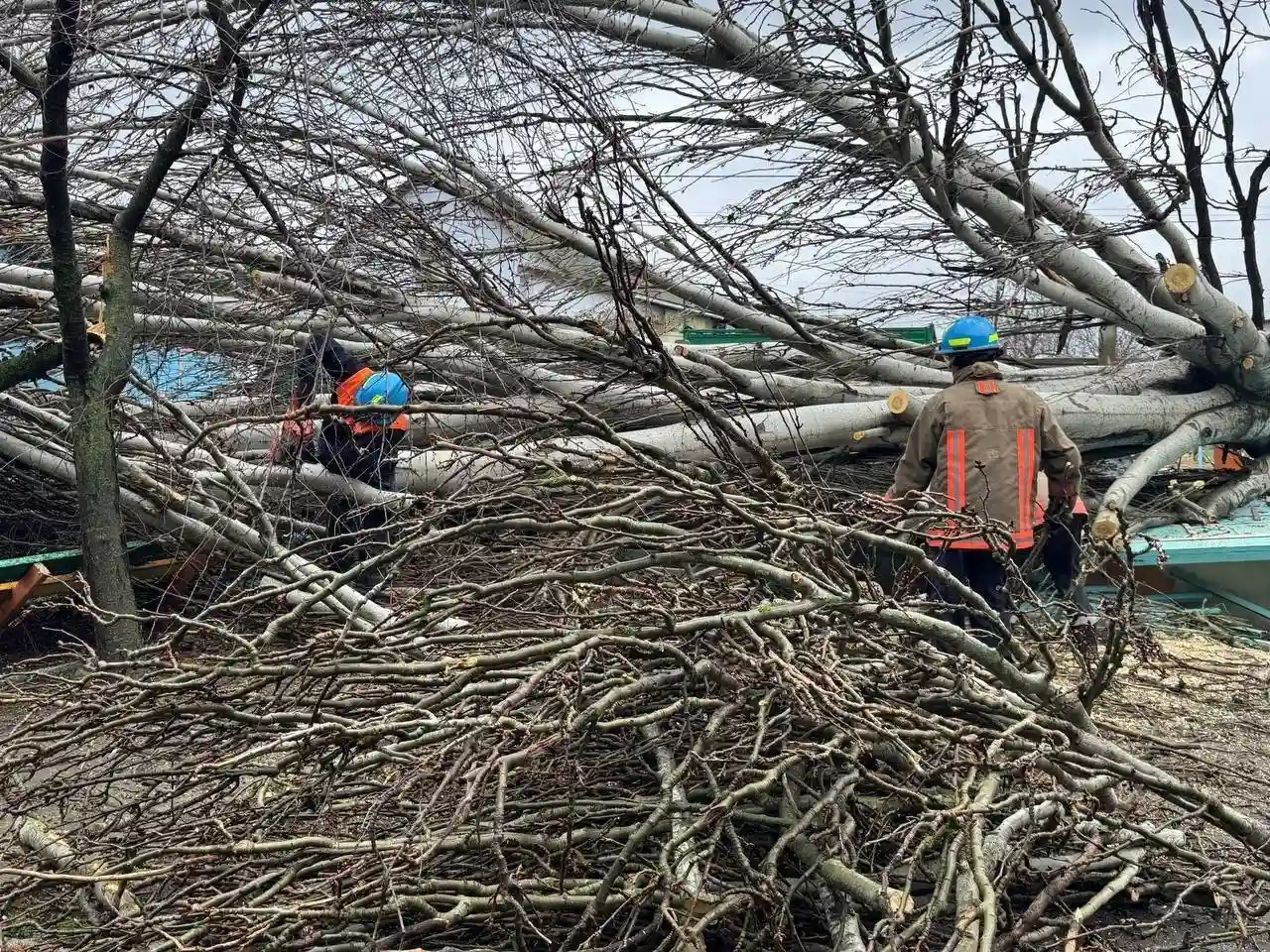 Заява про незаконне утримання на Миколаївщині: поліція відкрила провадження, ТЦК перевіряє обставини