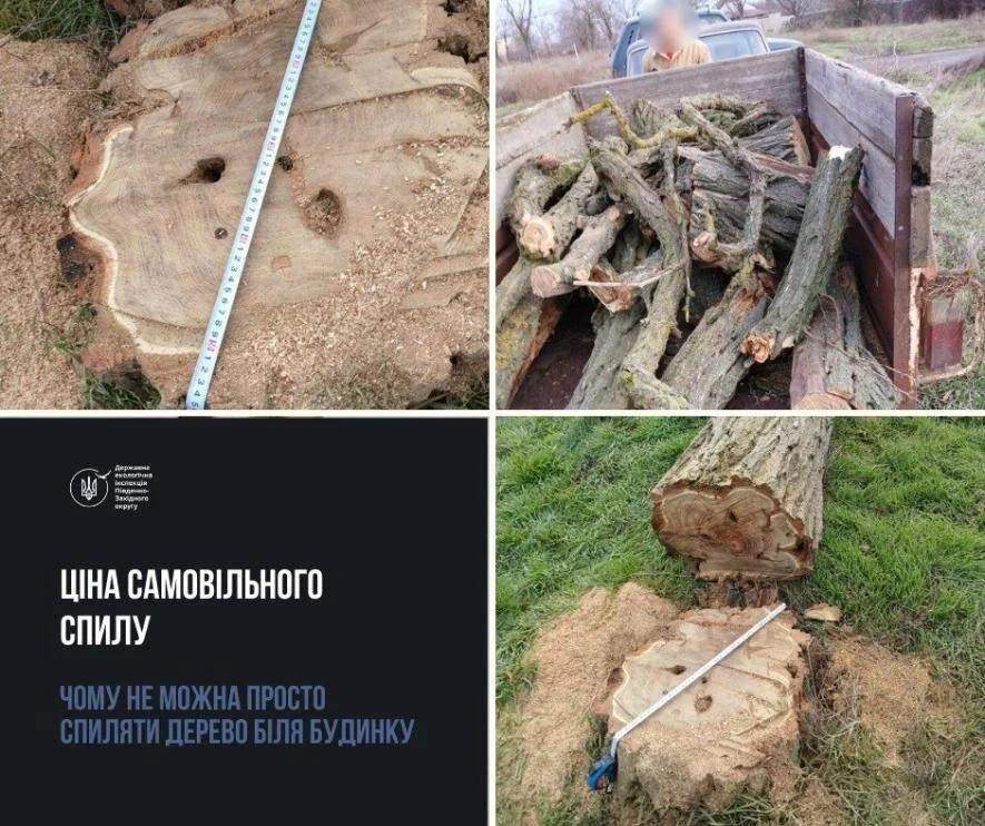 Три удари за ніч: Очаківську громаду атакували FPV-дрони