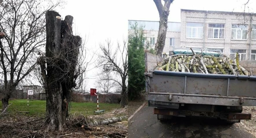 Від театру до прилаштування собак: чим живе Миколаїв 17 – 18 січня