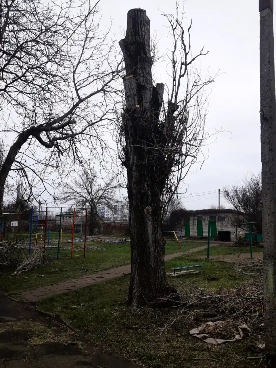 Від театру до прилаштування собак: чим живе Миколаїв 17 – 18 січня