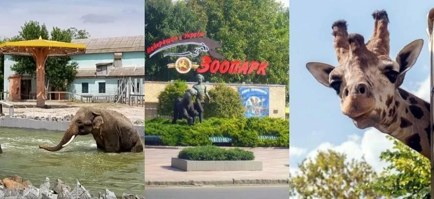 Скільки коштує похід до Миколаївського зоопарку та коли він відкритий для відвідувачів