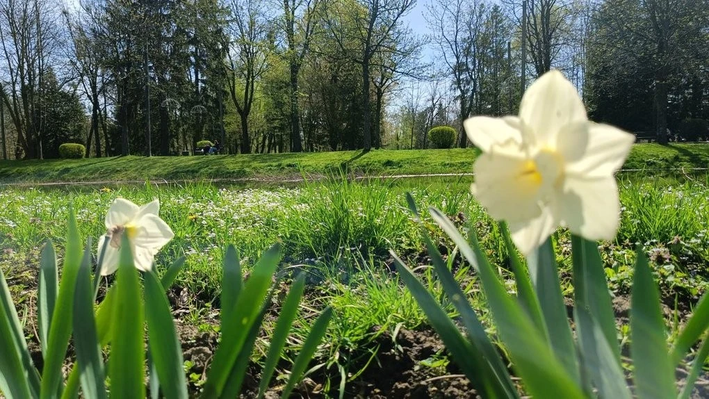 На Миколаївщині зафіксували ранній початок весни – температура перевищила кліматичну норму