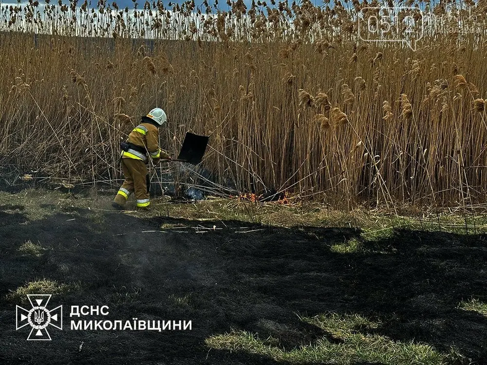 Пожежі сухостою на Миколаївщині: за добу вигоріли значні площі