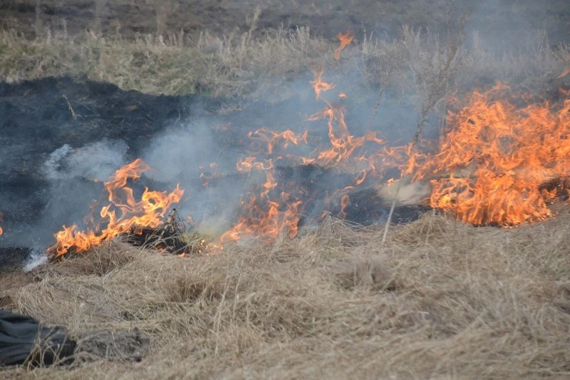 Вогняна доба на Миколаївщині: рятувальники ліквідували чотири пожежі в екосистемах