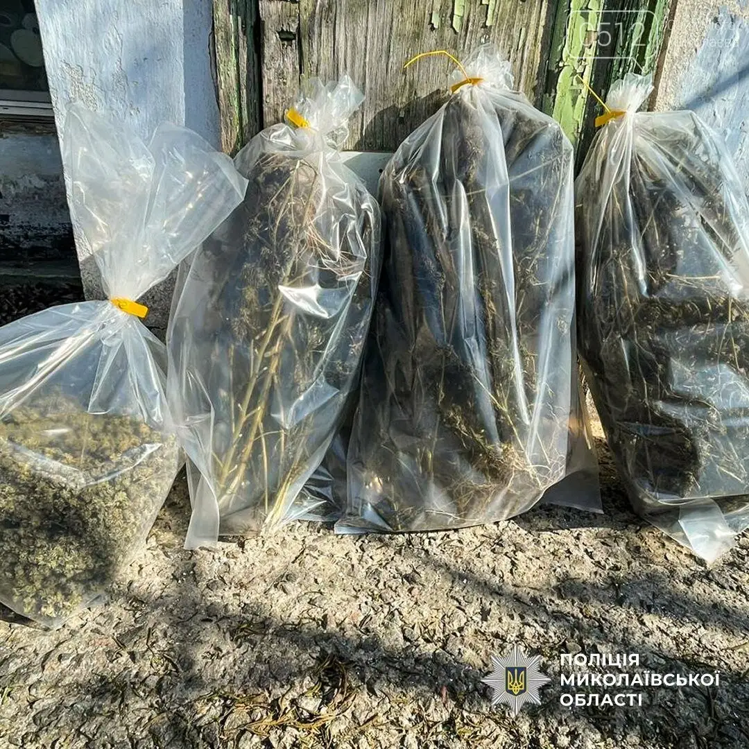 У Миколаєві ліквідували канал збуту наркотиків «з рук у руки»: затримано дует ділерів