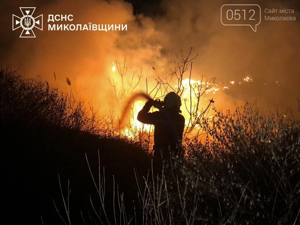 Вогняна стихія на Миколаївщині: за добу вигоріло понад 1,5 гектара екосистем