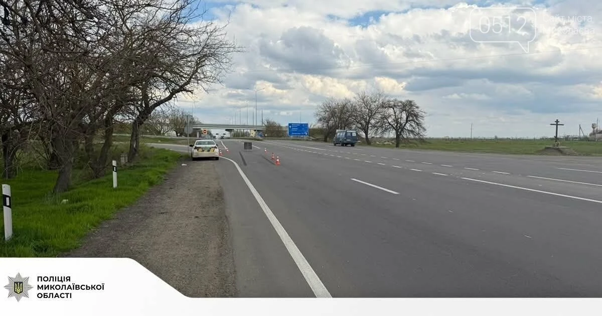 У Коблевому затримали водія, який збив літнього чоловіка та втік з місця ДТП