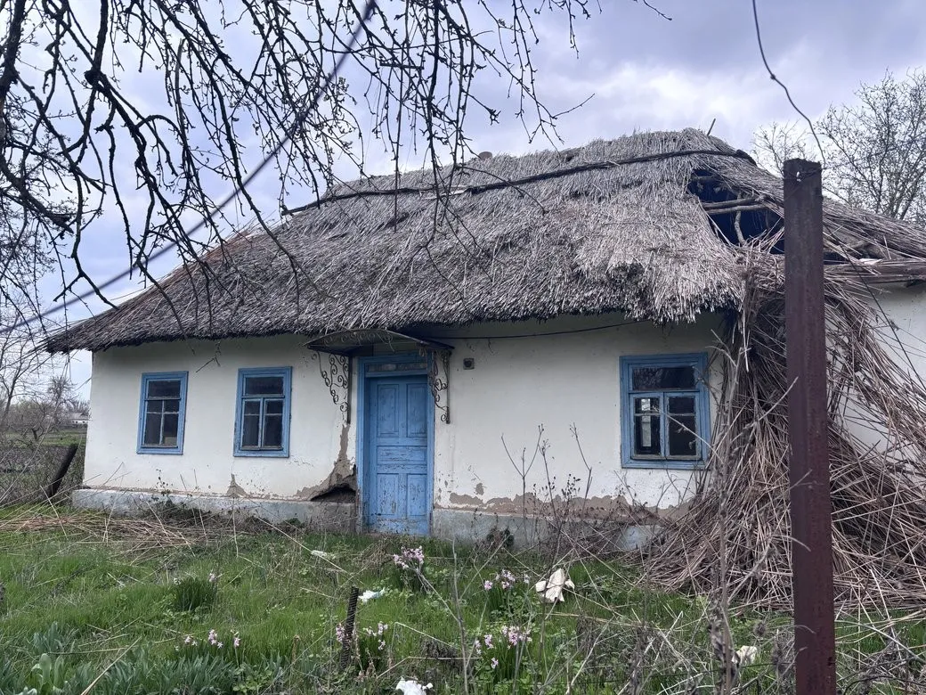 Архітектурна архаїка півдня: як на Миколаївщині рятують унікальні очеретяні хати