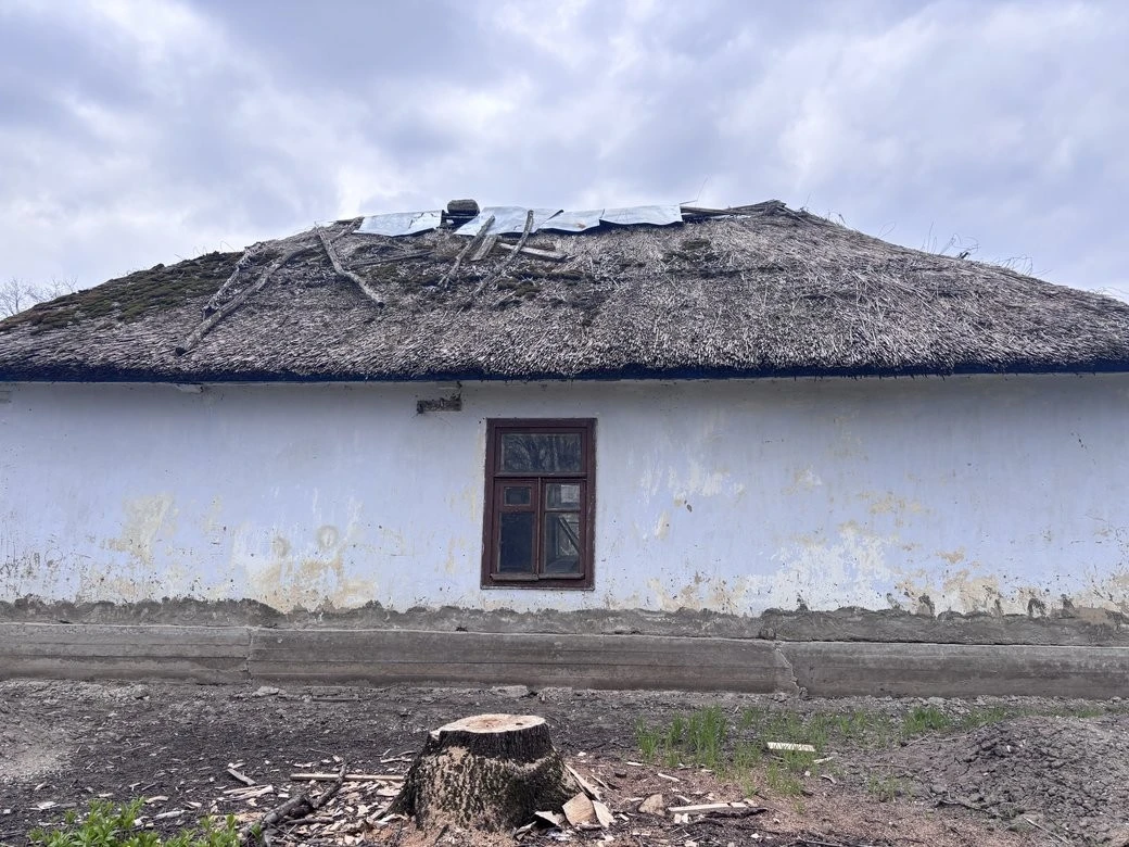 Архітектурна архаїка півдня: як на Миколаївщині рятують унікальні очеретяні хати