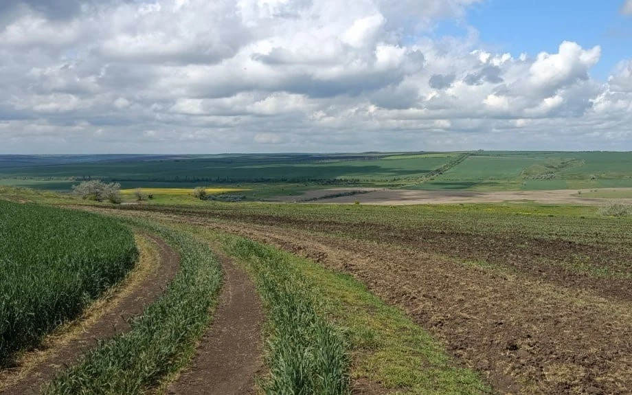 Екологічна катастрофа на Вознесенщині: знищено ділянки двох ландшафтних заказників