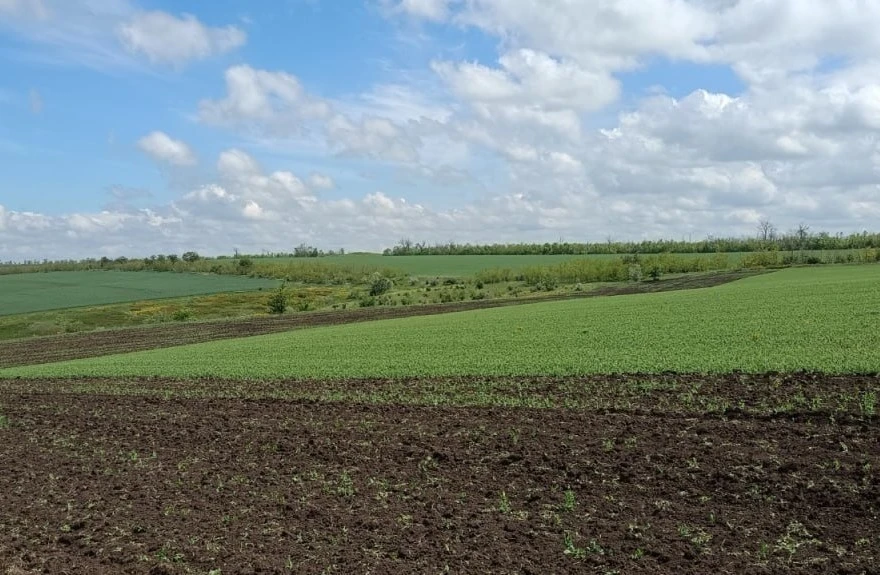 Екологічна катастрофа на Вознесенщині: знищено ділянки двох ландшафтних заказників