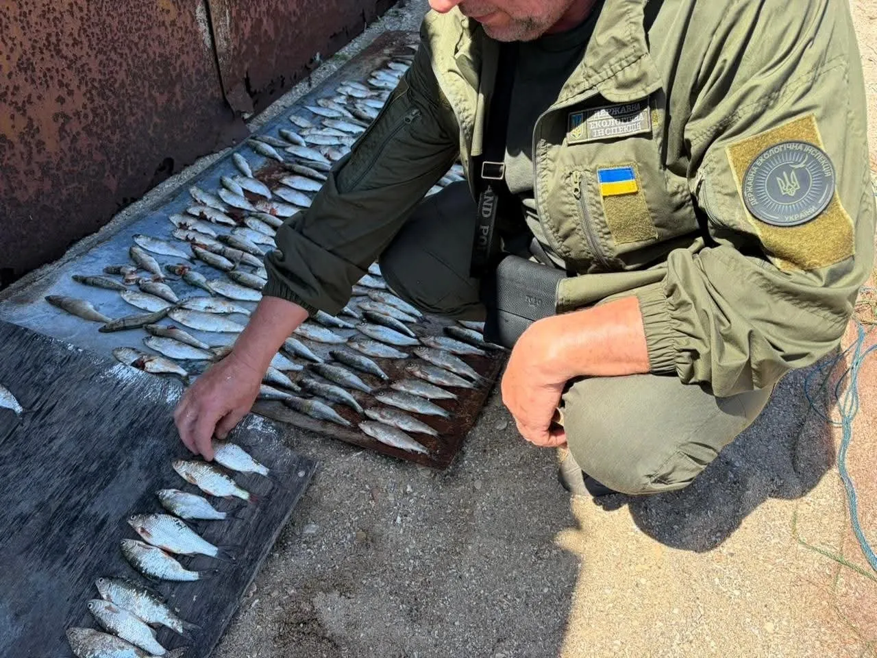 Понад 700 тисяч збитків: на Бузькому лимані під час нересту спіймали масштабного браконьєра