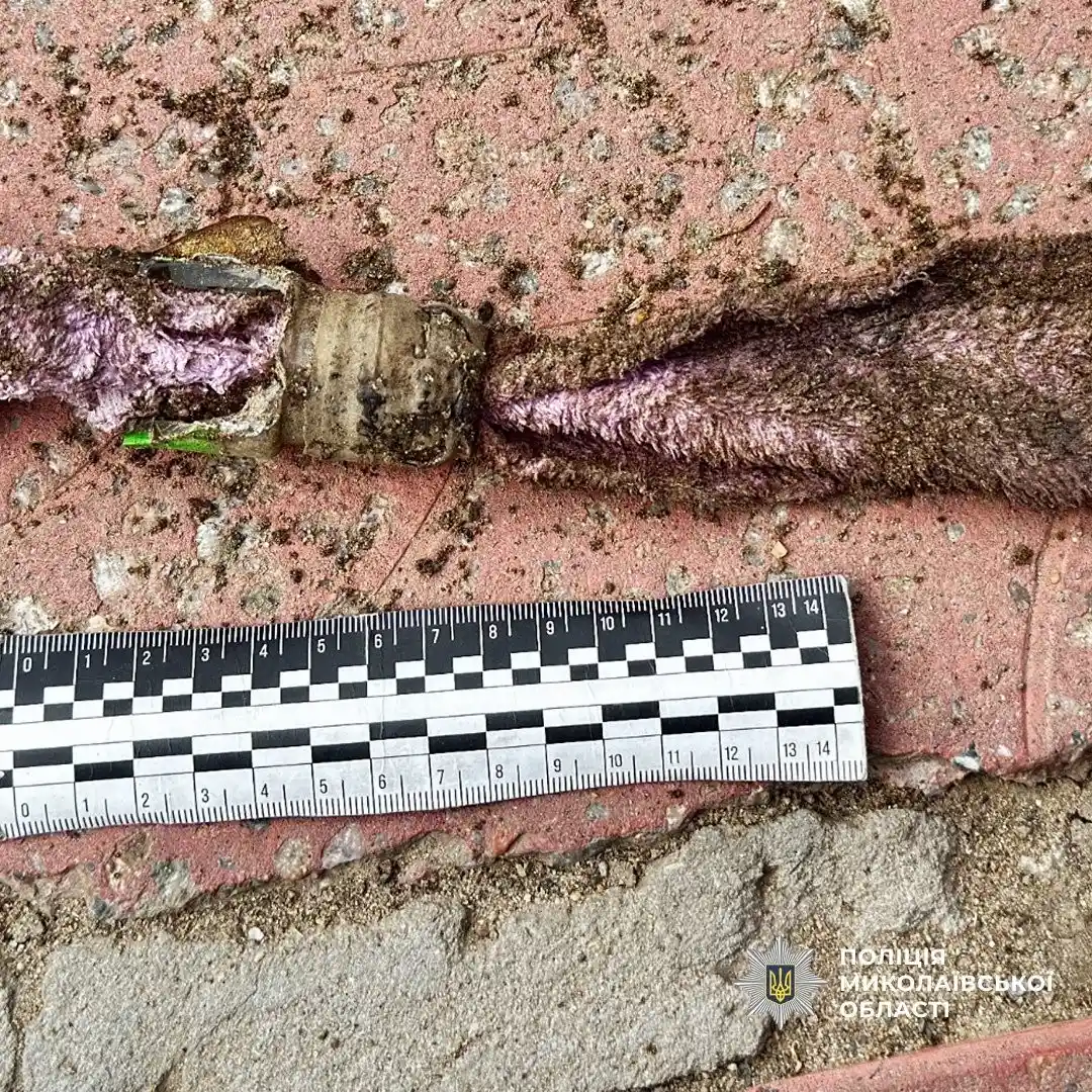 Помста за відмову в боргу: на Миколаївщині затримали палія крамниці