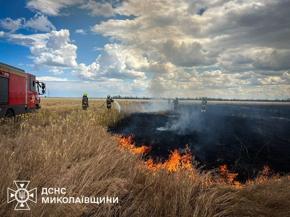 Масштабні займання у Миколаївському районі: пожежники врятували приватні будинки від вогню, але є постраждала
