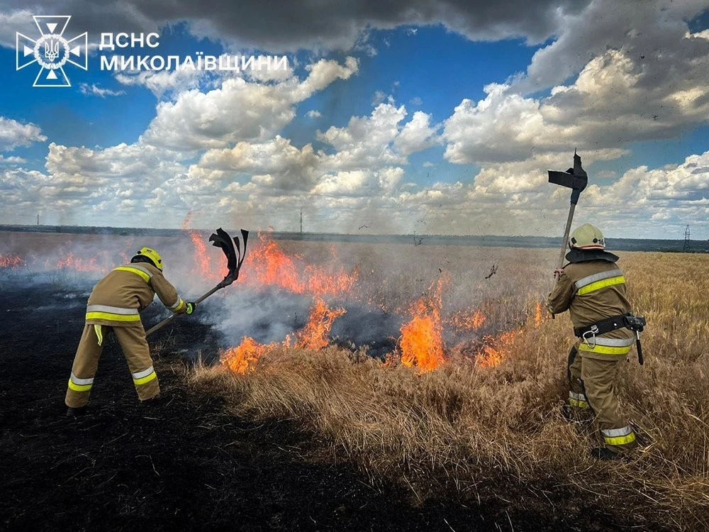 Масштабні займання у Миколаївському районі: пожежники врятували приватні будинки від вогню, але є постраждала